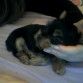 Nina tomando una siesta